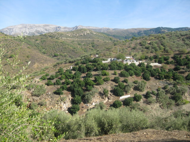 For sale Finca with cottage in Canillas de Albaida of 21,654 m2