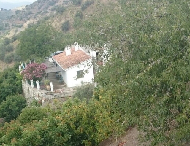 For sale Finca with cottage in Canillas de Albaida of 21,654 m2